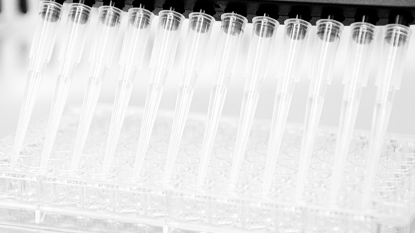 Pipette image